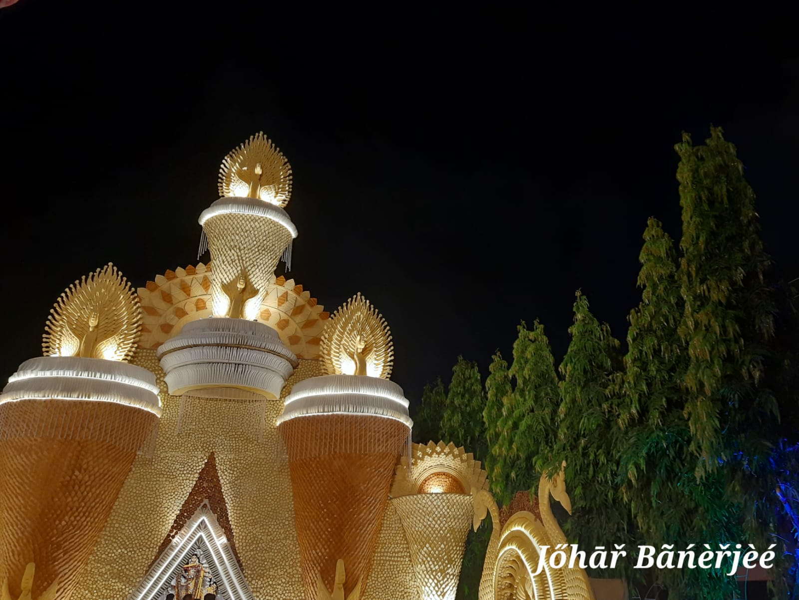 Durga Puja - photo 32