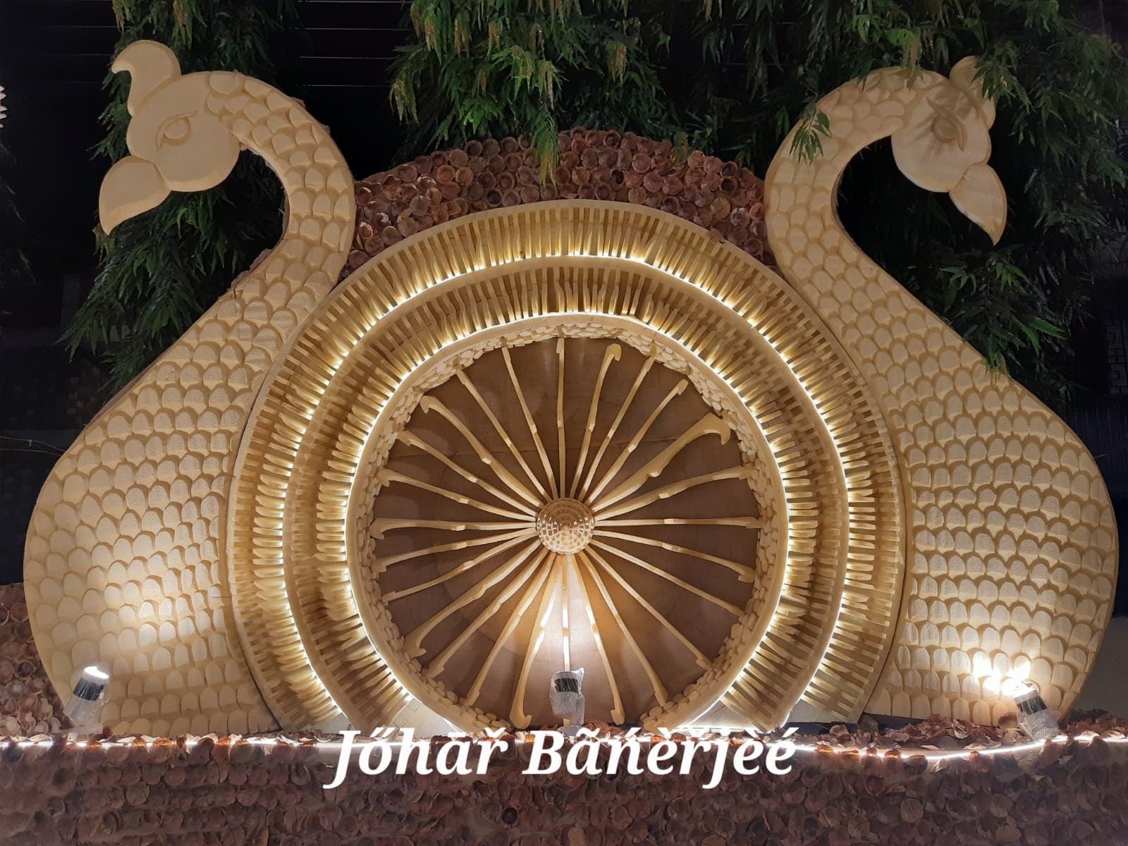 Durga Puja - photo 35