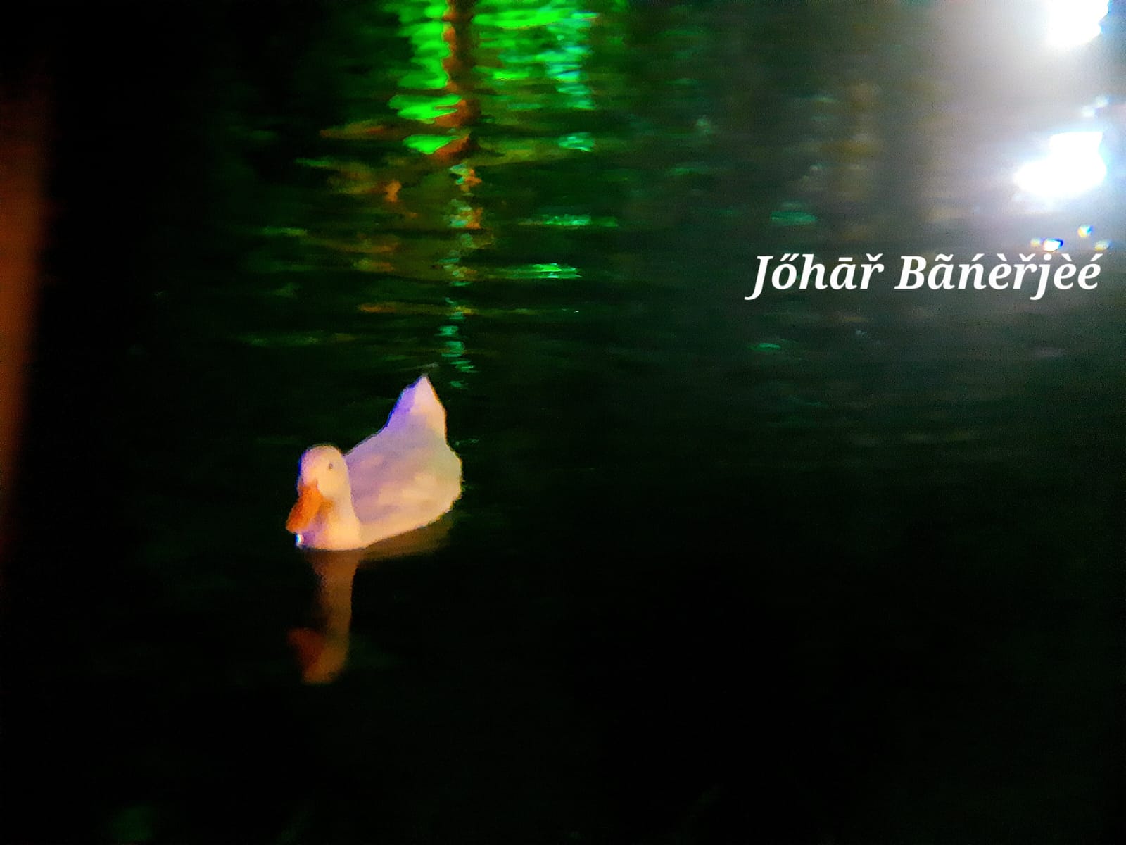 The Ducks of Fortune City, during puja Pic 10